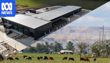 Net Zero Commission says NSW unlikely to meet emissions reduction targets
