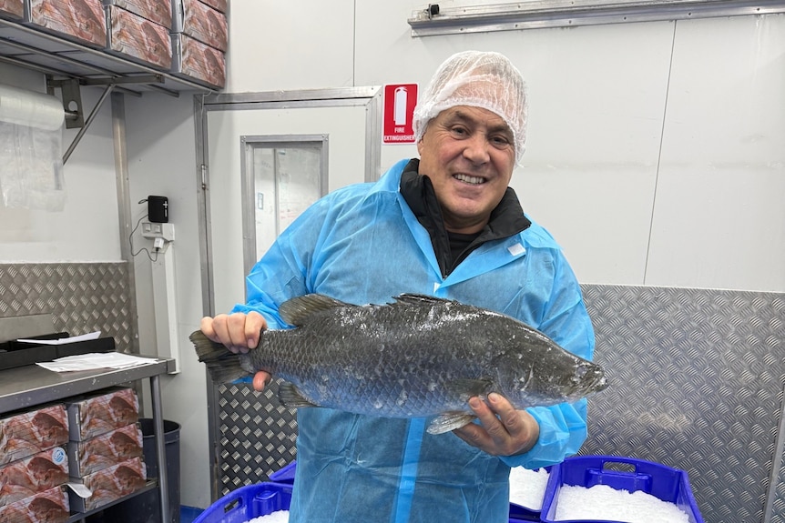 Man holding a barramundi fish in a storeroom