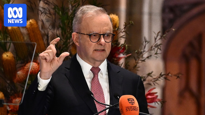 Labor aims to shape AI revolution with new data centre and AI copyright rules