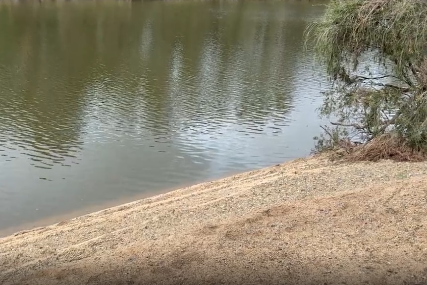A sandy bank leading down into river water