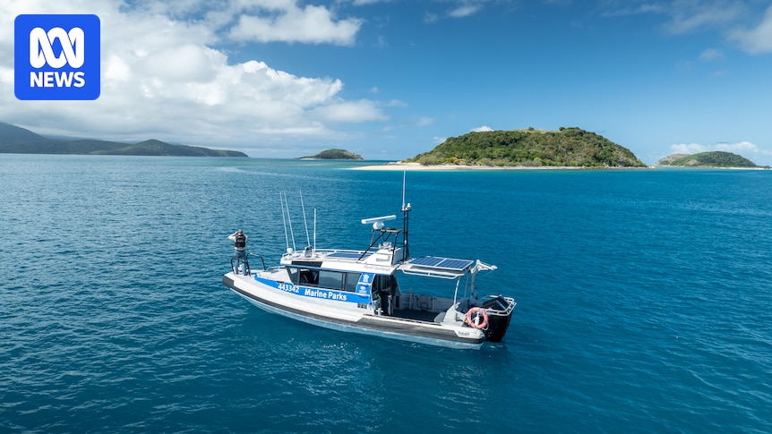 Four fined after allegedly illegally fishing in green zone during Queensland competition