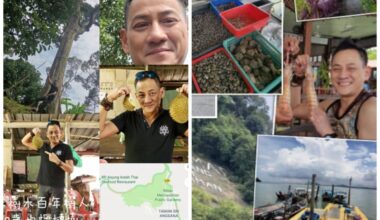 Retired HK actor Dickson Lee enjoys quiet, simpler life in Penang