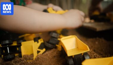 Man with prior domestic violence convictions granted a NSW Working with Children Check