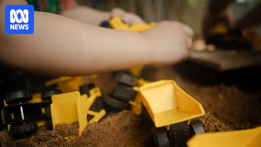 Man with prior domestic violence convictions granted a NSW Working with Children Check