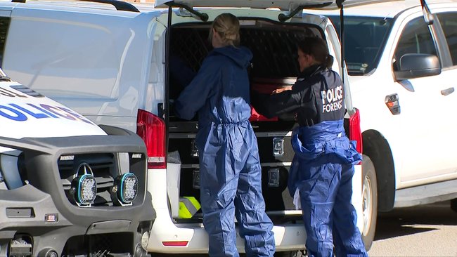 A 16-year-old boy has appeared in court charged with murdering his mother and attempting to kill his younger sister.