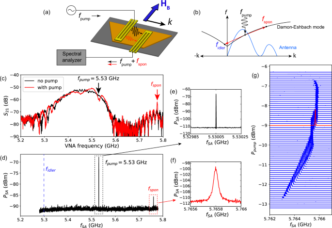 Magnonic spontaneous oscillation induced by parametric pumping