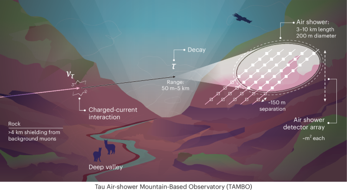 Measuring the high-energy neutrino sky using the deep-valley neutrino observatory TAMBO