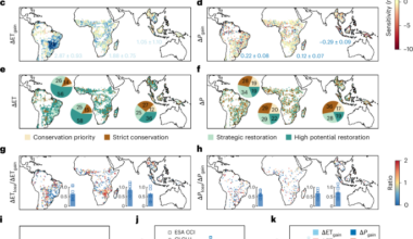 Targeted tropical forest restoration can offset deforestation-induced water flux losses