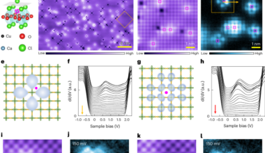 Visualization of the Zhang–Rice singlet, electronic molecules and Cooper pair formation in a cuprate superconductor