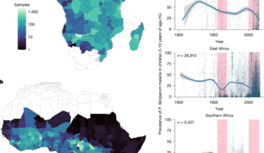 The past and future impact of climate change on childhood malaria in Africa