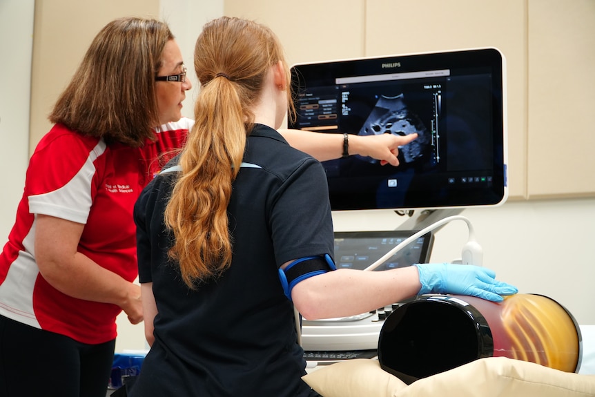 Students using ultrasound equipment in a medical sonography lab.