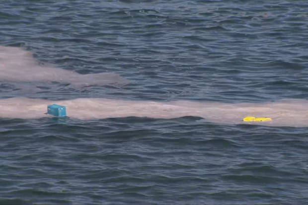 Man killed after boat capsizes in waters off La Perouse