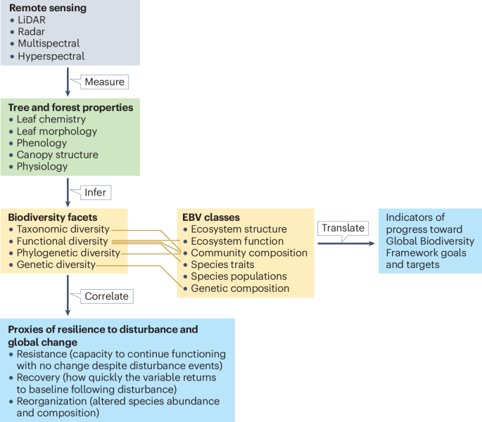 Remote sensing delivers tropical forest resilience monitoring for the Global Biodiversity Framework