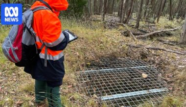 Geological Survey of Victoria maps 200,000 unrecorded gold rush mining features