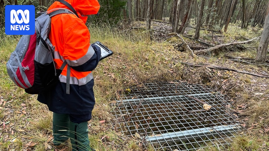 Geological Survey of Victoria maps 200,000 unrecorded gold rush mining features
