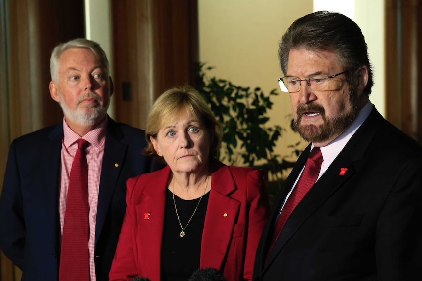 Bruce and Denise Morcombe, parents of Daniel, look on at senator Derryn Hinch as he speaks into a microphone at a presser