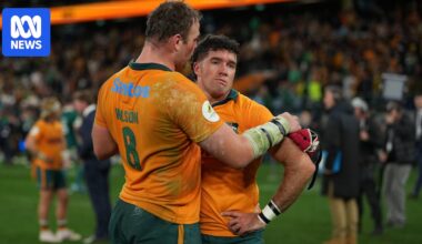 Wallabies pipped by Ireland 33-31 in Nations Championship Test