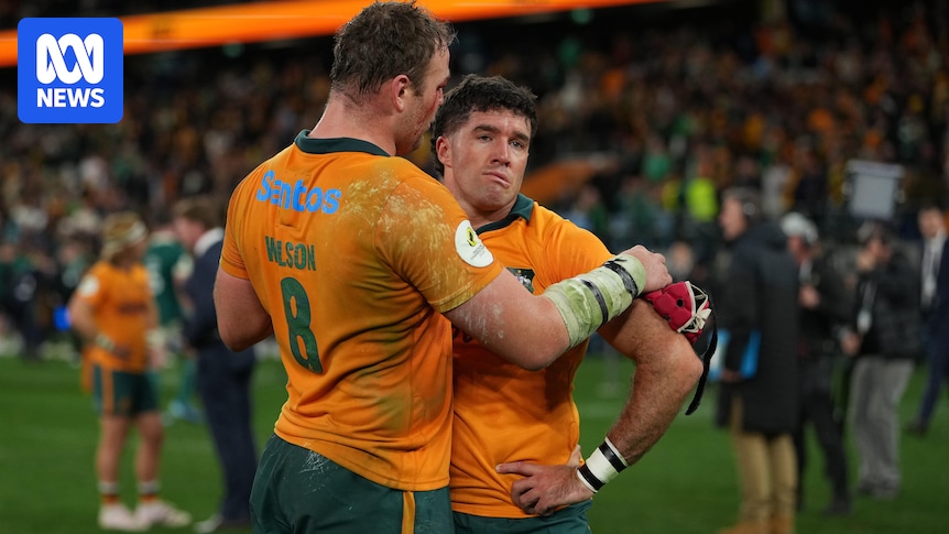 Wallabies pipped by Ireland 33-31 in Nations Championship Test