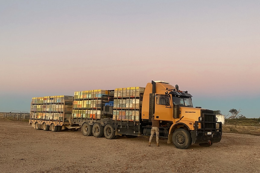 A big truck with bee hives stacked on the back