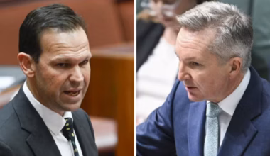 ‘Honest’ Matt Canavan concedes SMRs may not ‘make it’ commercially