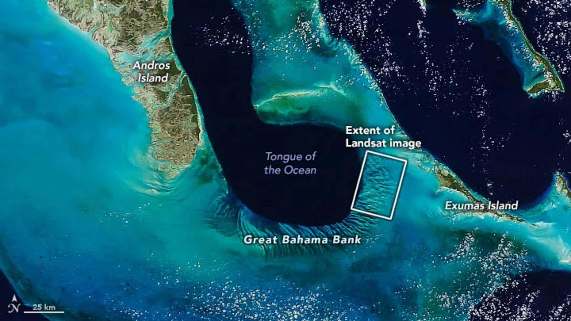 A zoomed out satellite photo showing the Great Bahama Bank's location relative to other islands and the "Tongue of the Ocean"