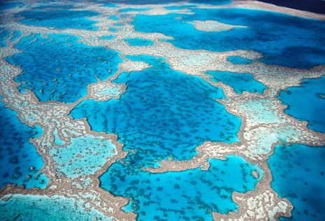 Great barrier reef aerial view