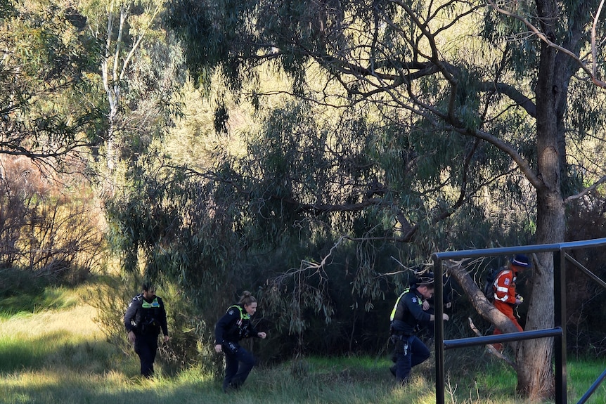 Police and SES personnel searching bushland.