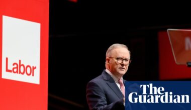 Israel criticises Labor’s draft Palestine policy in rare foreign intervention ahead of party conference | Labor party