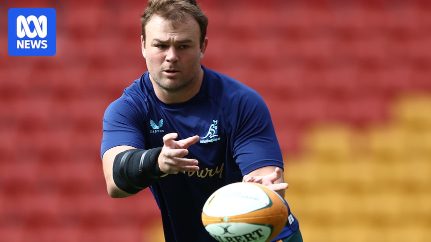 Wallabies captain says recent results not good enough ahead of Test match against France