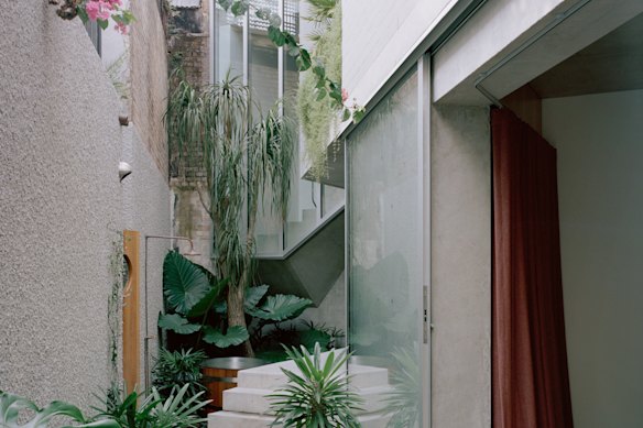 Darlinghurst House, by Anthony Gill Architects, is a restored terrace that stretches across two sites.