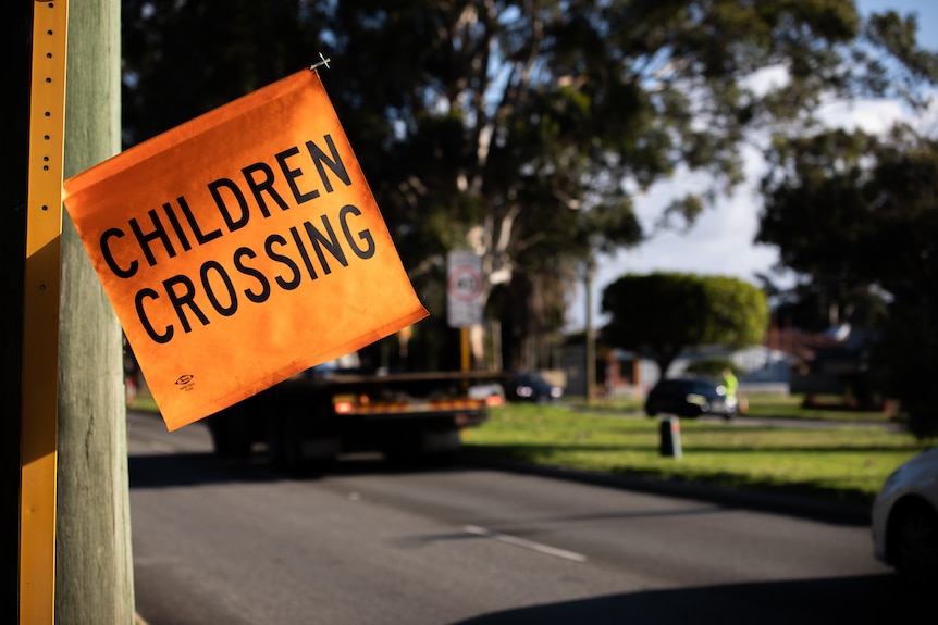 A flag hangs off a pole reading 'Children Crossing'.