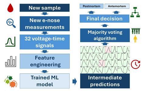 Scheme showing an overview of the classification pipeline from signal acquisition to final output, featuring steps from 1) new sample, 2) new e-nose measurements, 3) 32 voltage-time signals, 4) feature engineering, 5) trained ML model, 6) intermediate predictions, 7) majority voting algorithm, 8) final decision, either post- or ante-mortem