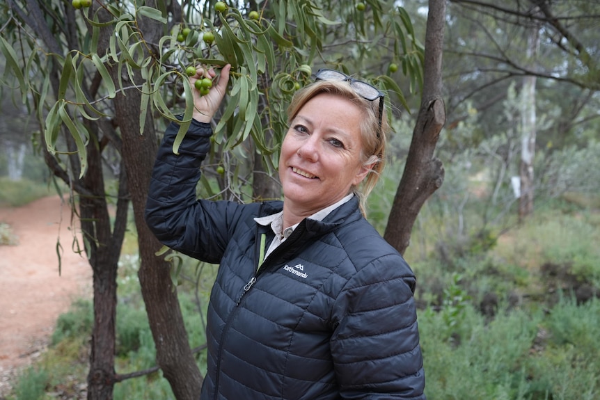 A woman with blonde hair holding native quandongs still green on the tree 