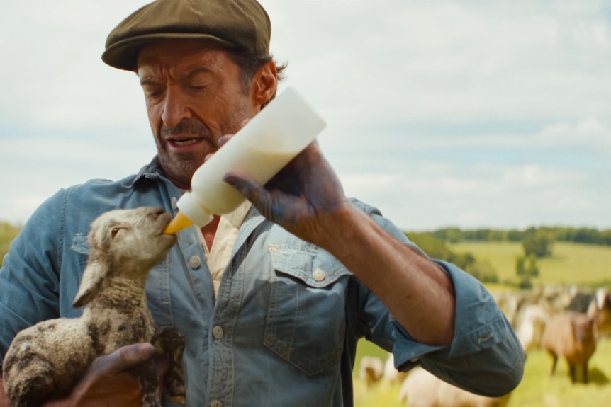 Hugh Jackman feeds a lamb a bottle of milk in a paddock with more sheep in the background