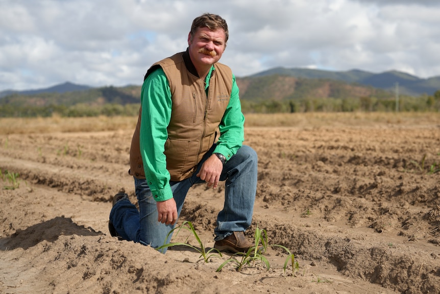 A man kneels next to very short plants in a paddock