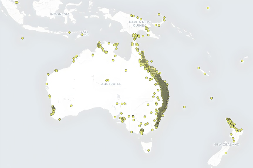 A map showing where lantana is in Australia with most of it on the east coast.
