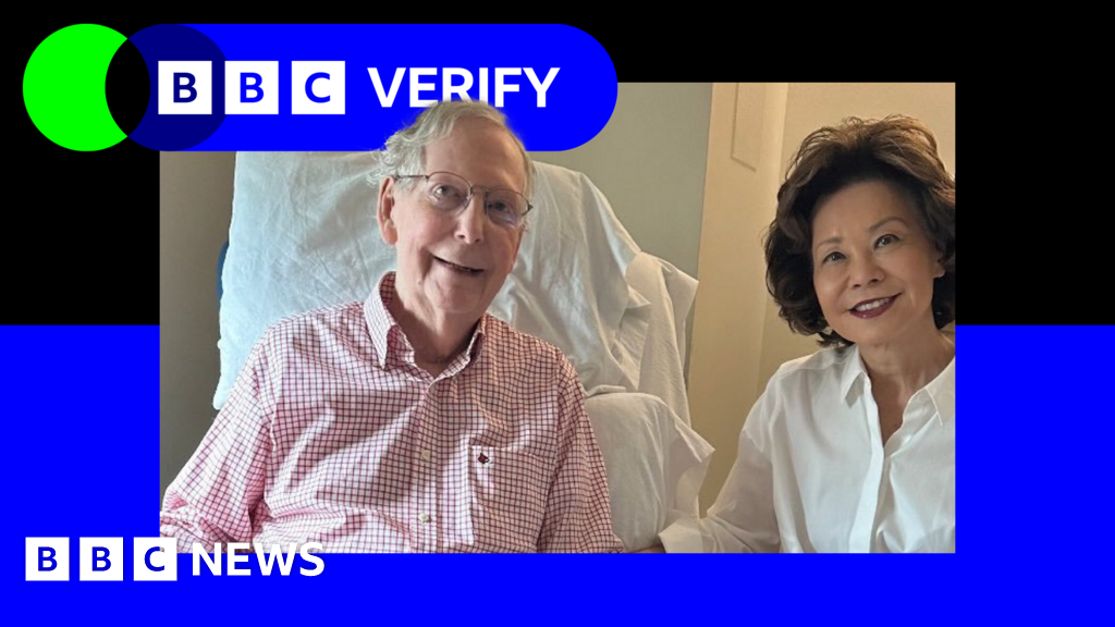 There's no evidence this Mitch McConnell photo is AI-generated