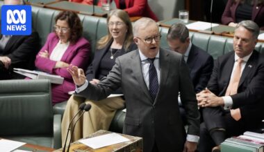 Albanese and Chalmers see reform and risk-taking as an antidote to populism