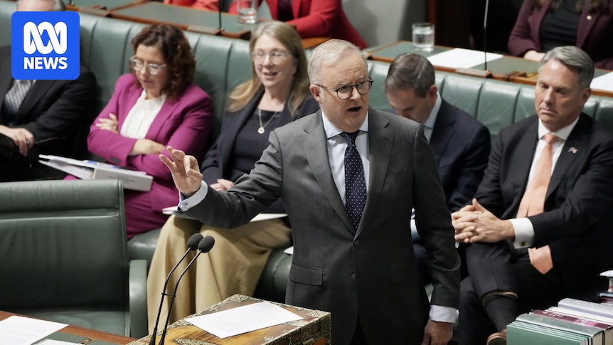 Albanese and Chalmers see reform and risk-taking as an antidote to populism
