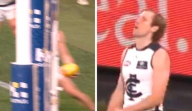 AFL review system exposed again by divisive call