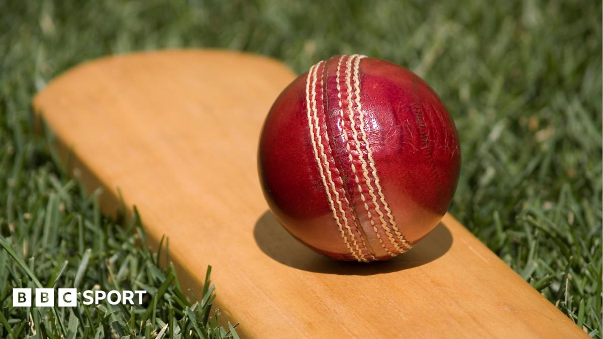 A cricket bat and ball on grass