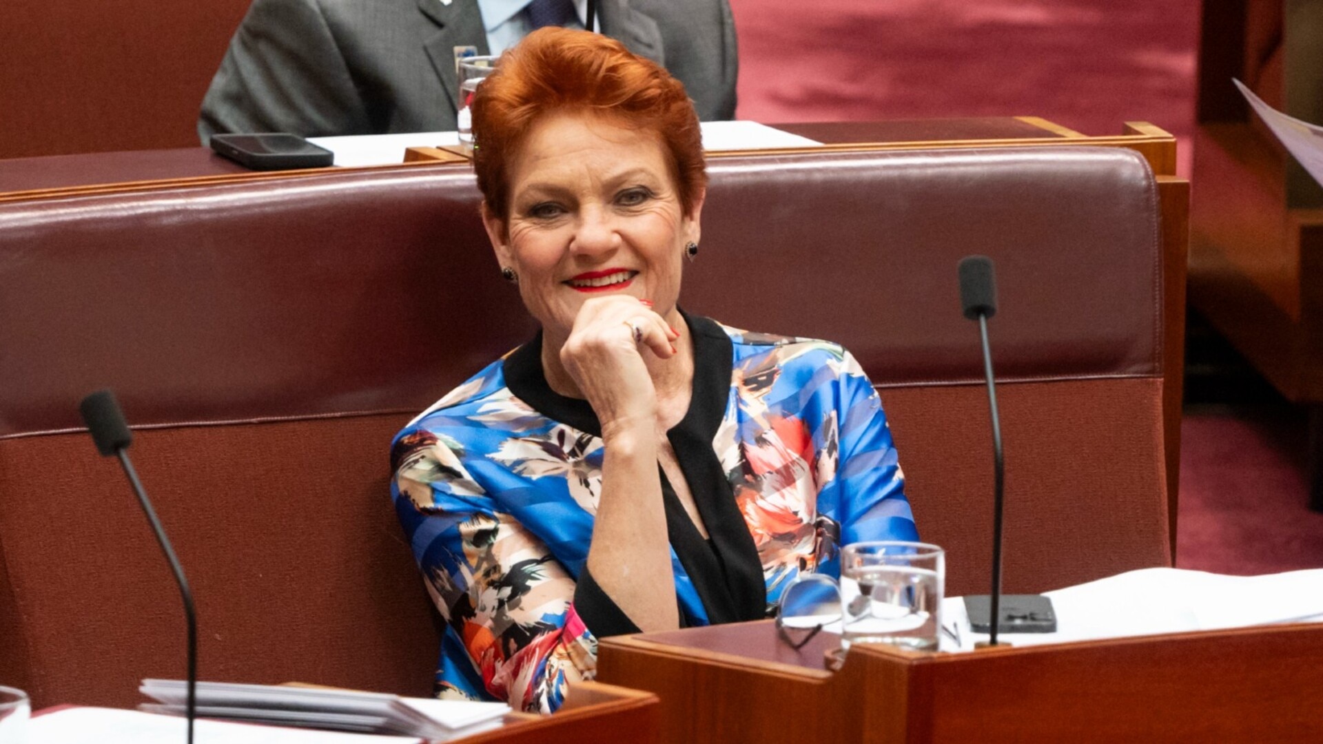 One Nation’s rise has been the ‘biggest political story’ of the year