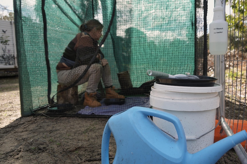 Background a woman sitting inside of a green mesh bird enclosure, in foreground a bucket and watering can