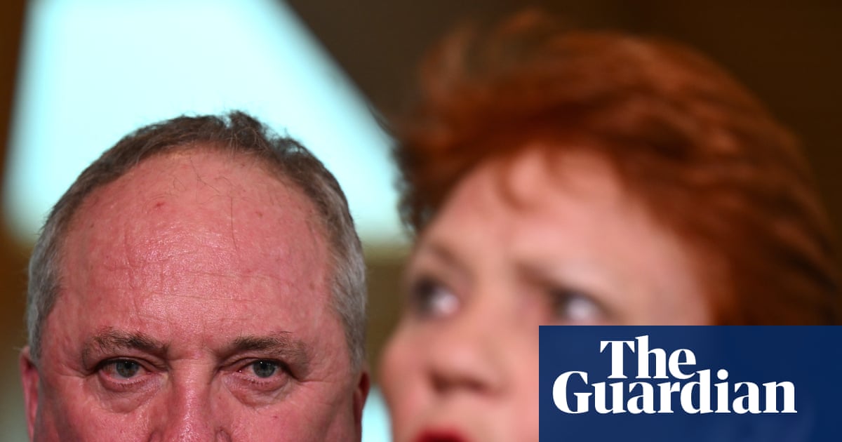 Pauline Hanson denies rumoured rift with Barnaby Joyce over Tommy Robinson podcast | Pauline Hanson