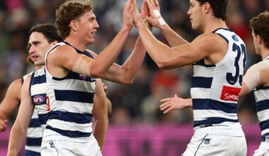 AFL Match Report | First Half Blitz Sets Up Important Cats Victory