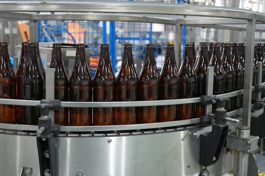 Large brown glass bottles on a factory conveyer belt.