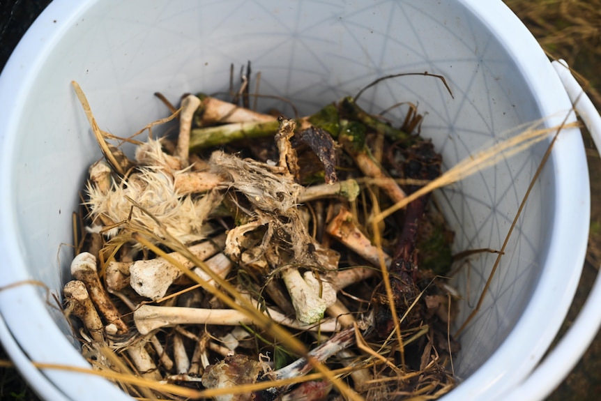bucket of bones and straws