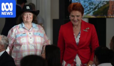Pauline Hanson reveals Gina Rinehart paid for Italy flights and Dolce & Gabbana show