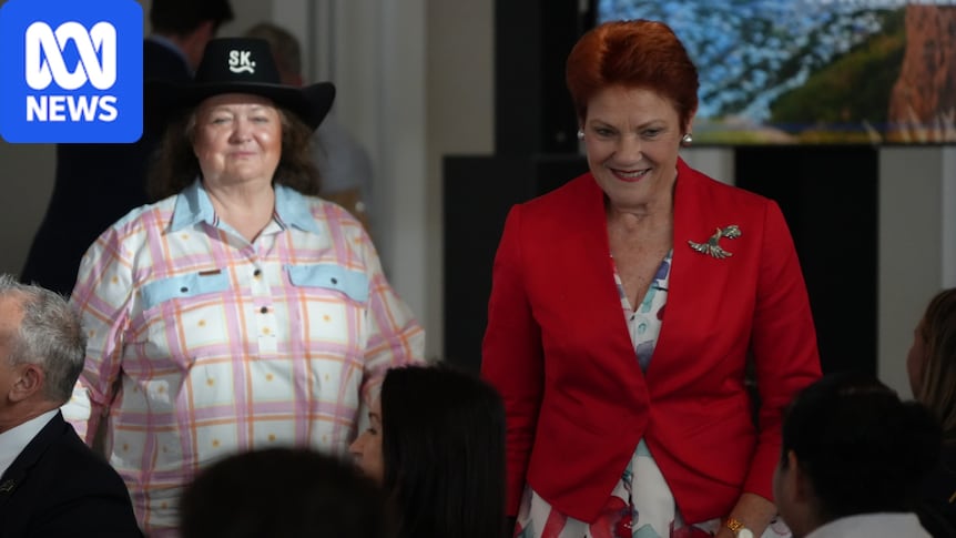 Pauline Hanson reveals Gina Rinehart paid for Italy flights and Dolce & Gabbana show