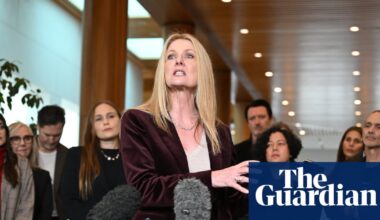 Creatives sound alarm on copyright as Pocock calls $50bn datacentre proposal ‘ultimate dirty deal’ | Datacentres